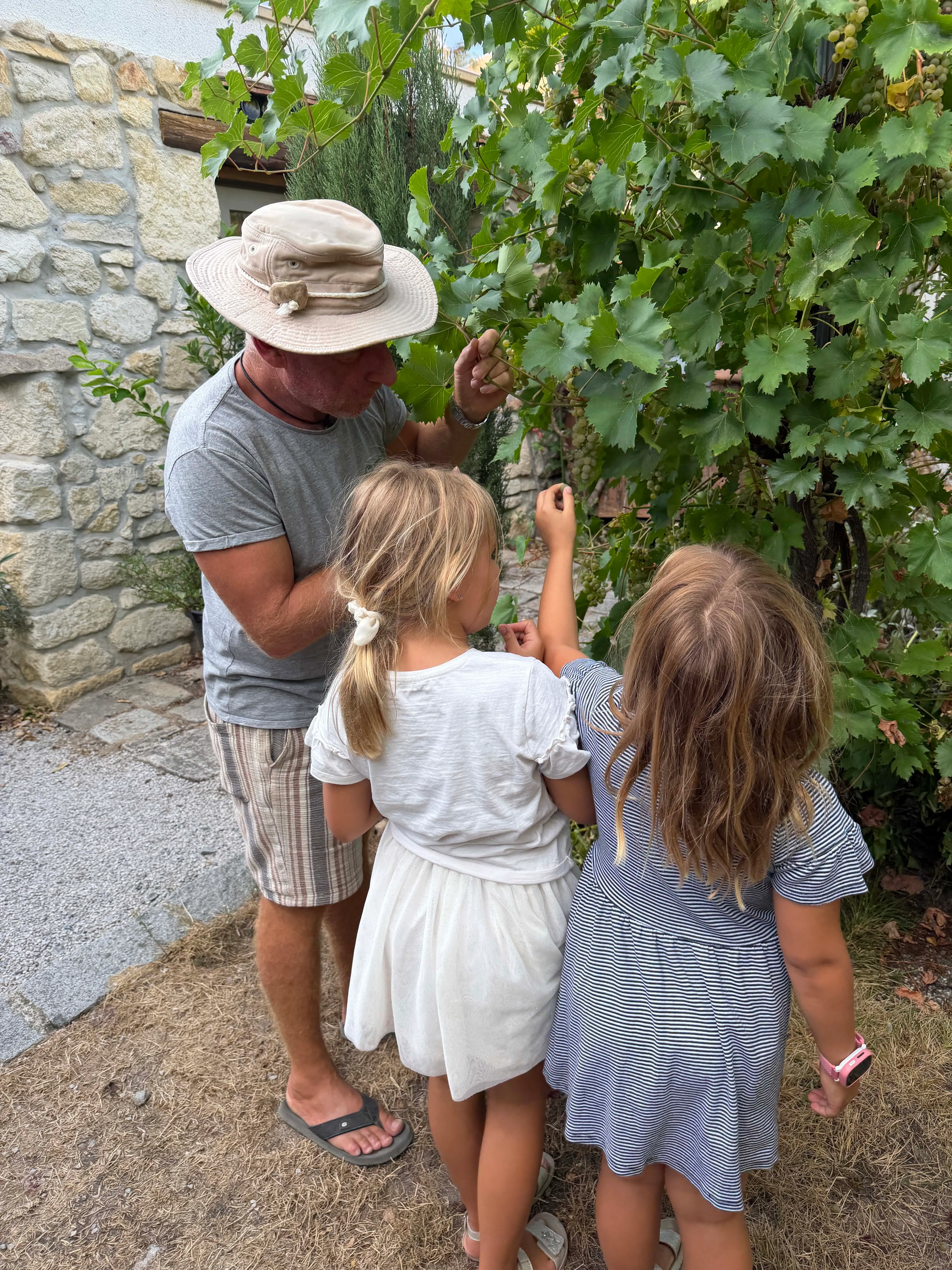 Thomas Reinprecht vermittelt Kindern Gartenwissen